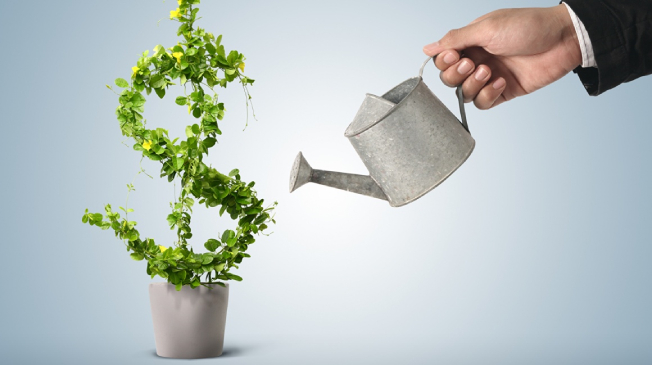 انواع سرمایه گذاری در استارت آپ ها کدامند؟